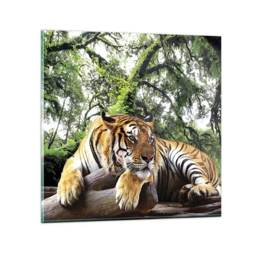 Glasbild - Bild auf glas - Hochachtungsvoll - 30x30 cm