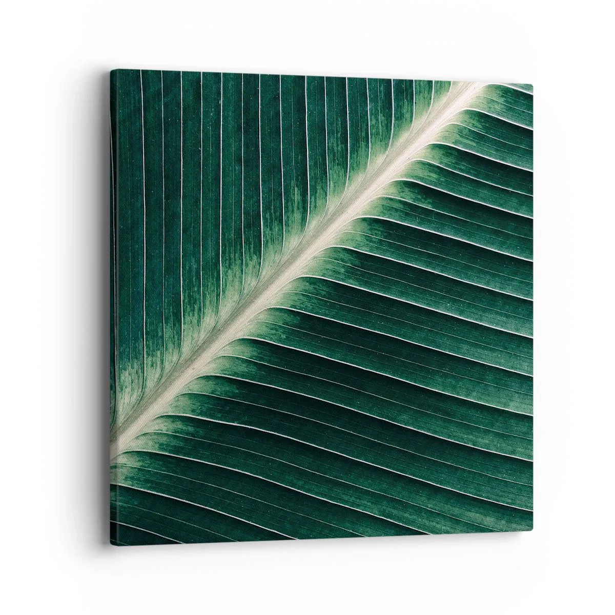 Bild auf Leinwand - Leinwandbild - Rhythmus der Natur - 40x40 cm