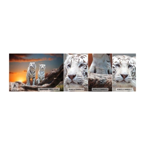Fototapeten Muster Selbstklebend Deluxe Sticker - Genau wie Narnia - Tiere, Tiger, Sonnenuntergang - 100x30 cm