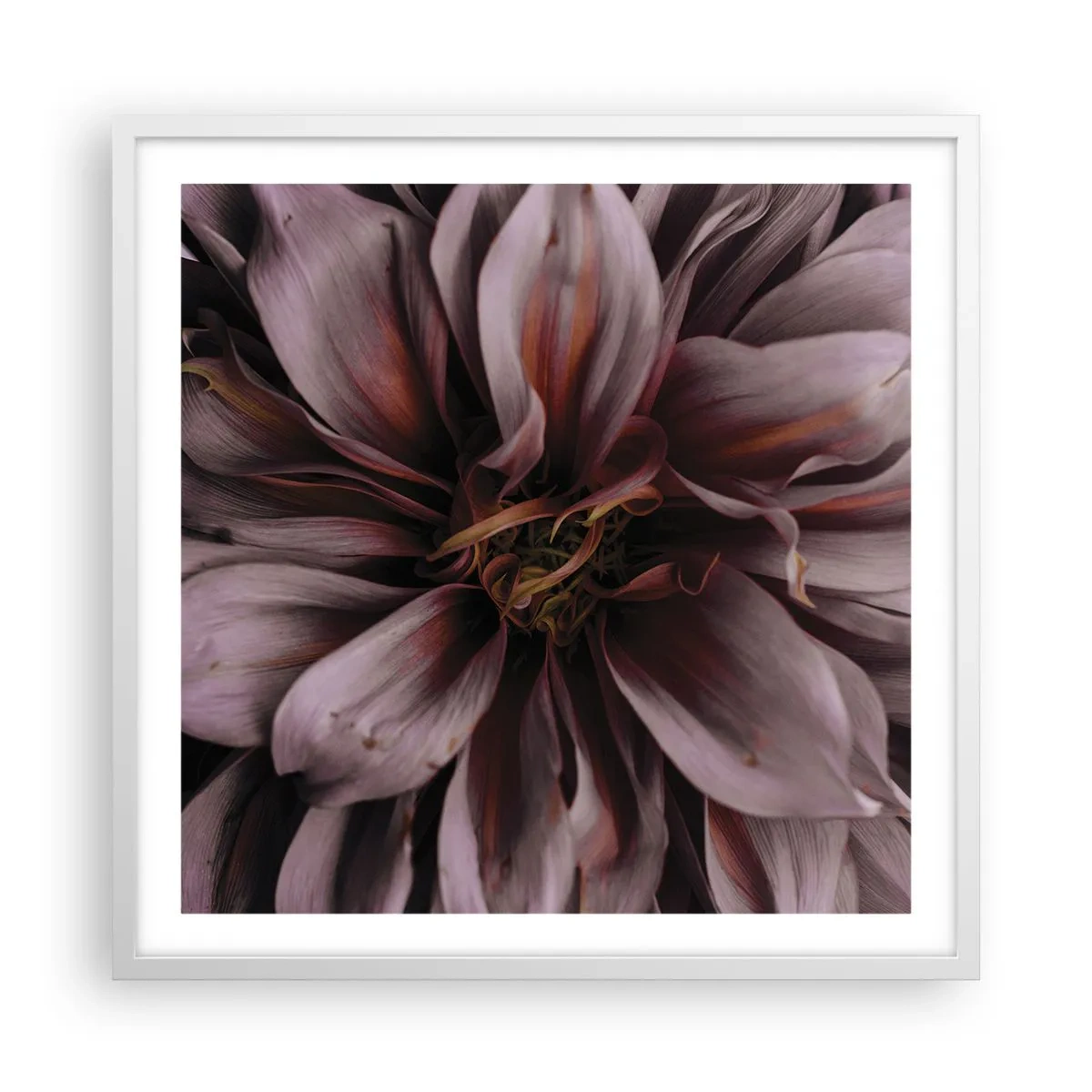 Poster in einem weißen Rahmen - Ein Blumenherz - 60x60 cm