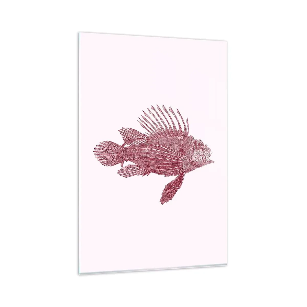 Glasbild - Bild auf glas - Zeichnung eines Fisches in einem roten Farbton - 80x120cm - Bewohner exotischer Gewässer - Moderne Wanddekoration für Wohnzimmer und Schlafzimmer ARTTOR