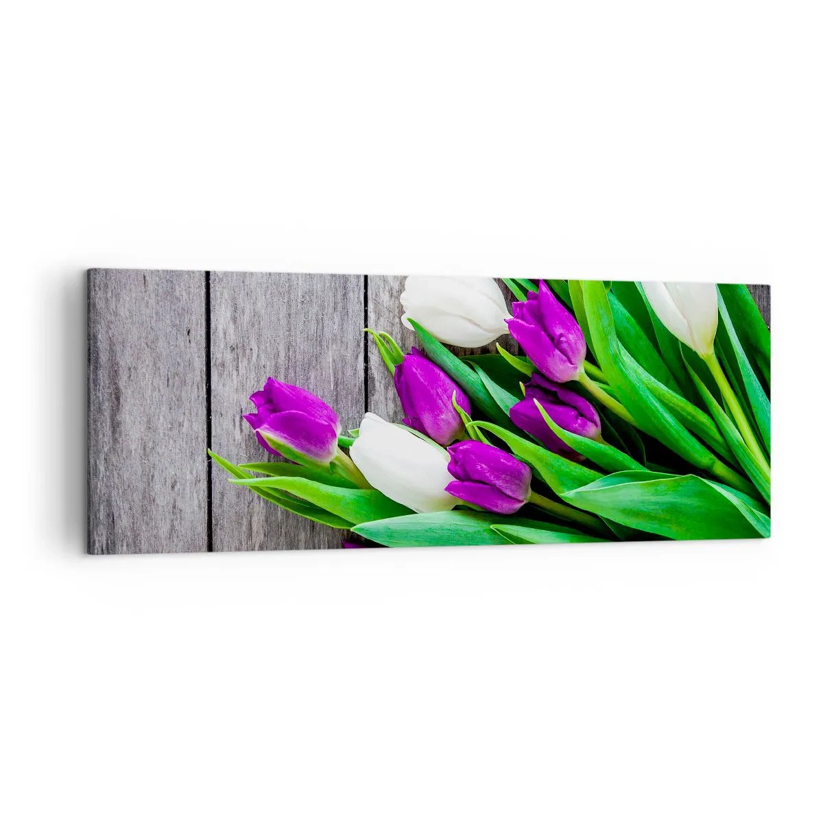 Bild auf Leinwand - Leinwandbild - Ein Strauß lila und weißer Tulpen auf einem hölzernen Hintergrund - 140x50cm - Am Tag der Frühlingsferien - Moderne Wanddekoration für Wohnzimmer und Schlafzimmer ARTTOR