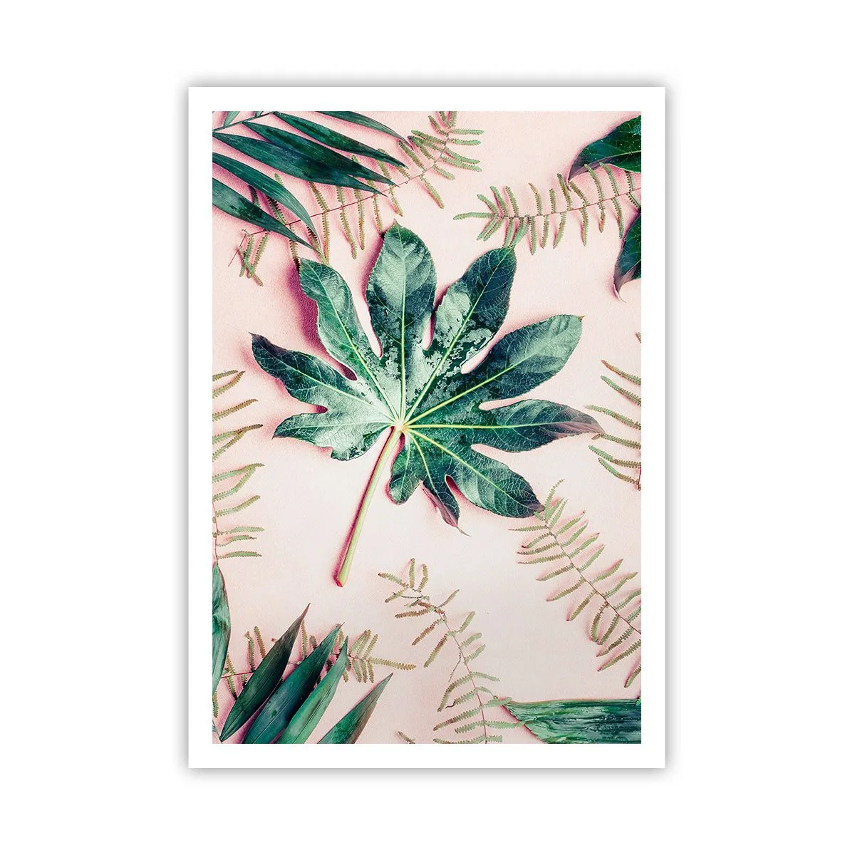 Poster - Eine Studie von Grün auf einem rosa Hintergrund - 70x100 cm