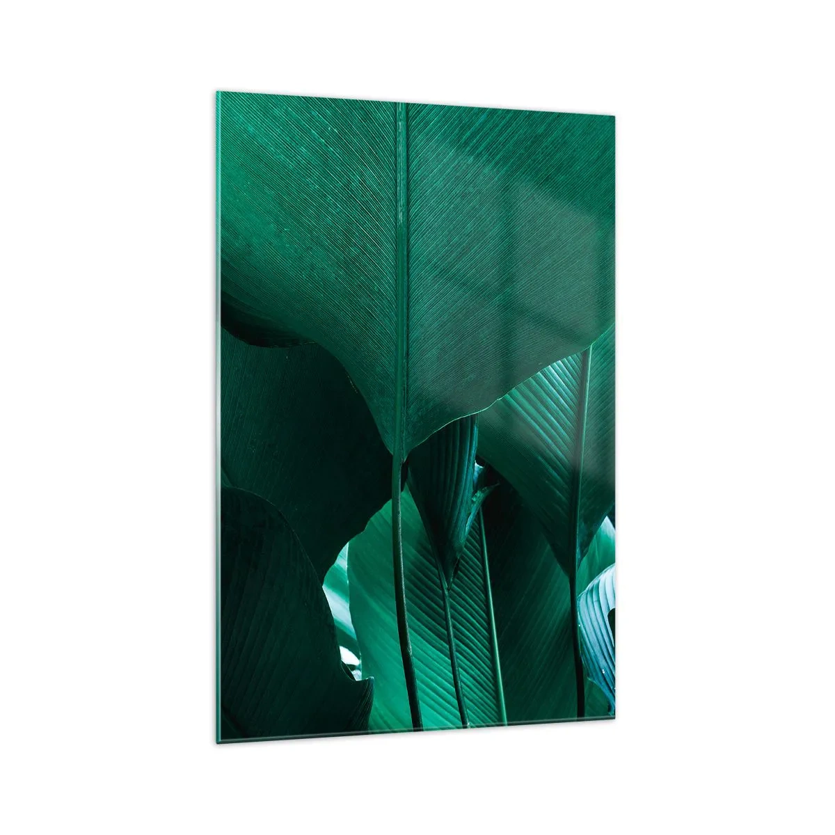 Glasbild - Bild auf glas - Grüne Blätter in minimalistischer Komposition - 70x100cm - Dem Licht zugewandt - Moderne Wanddekoration für Wohnzimmer und Schlafzimmer ARTTOR