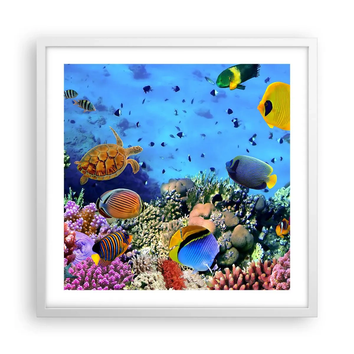 Poster in einem weißen Rahmen - Und was wissen wir über das Leben ... - 50x50 cm