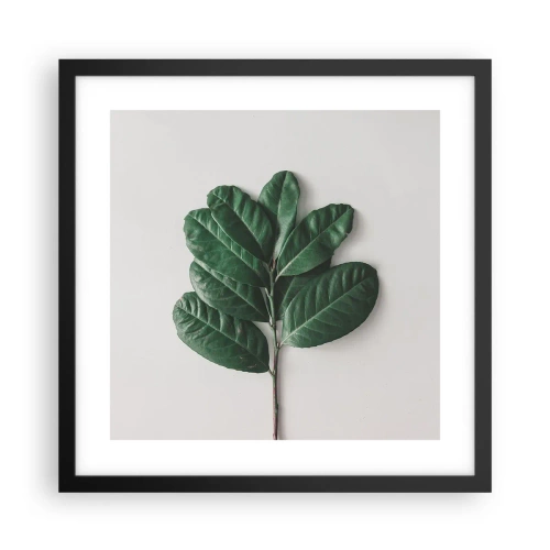 Poster in einem schwarzem Rahmen - Eine Zeichnung purer Natur - 40x40 cm