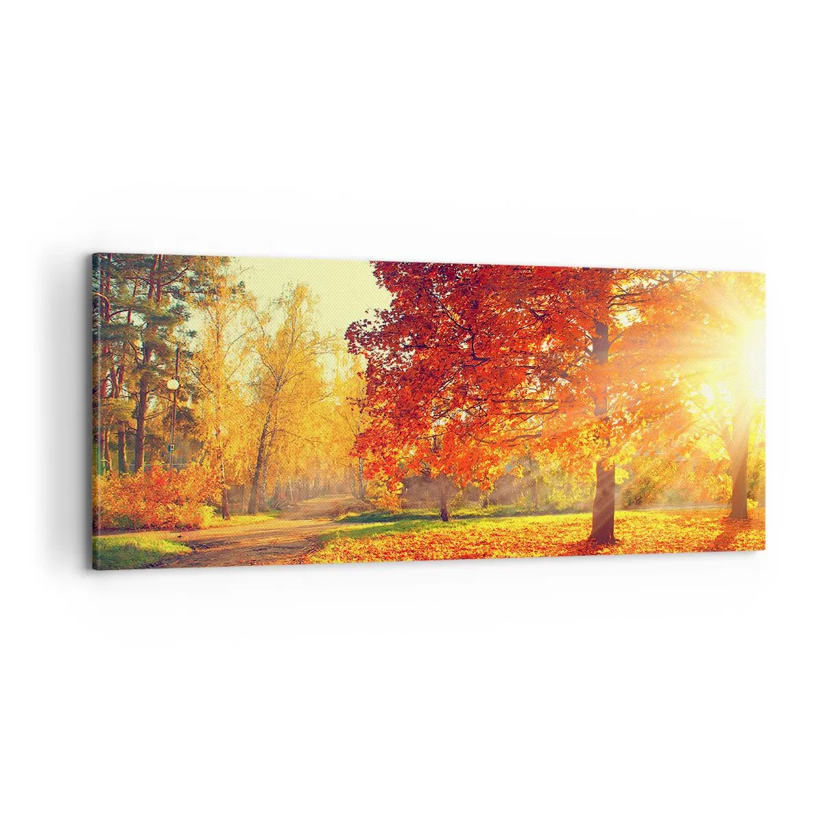 Bild auf Leinwand - Leinwandbild - Unhöflich ist schön - 100x40 cm