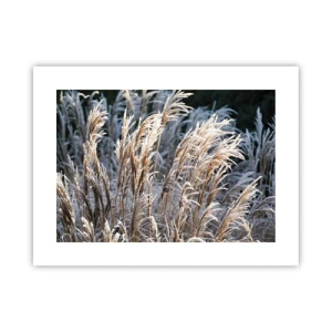 Poster - Gekleidet mit Frost - 40x30 cm