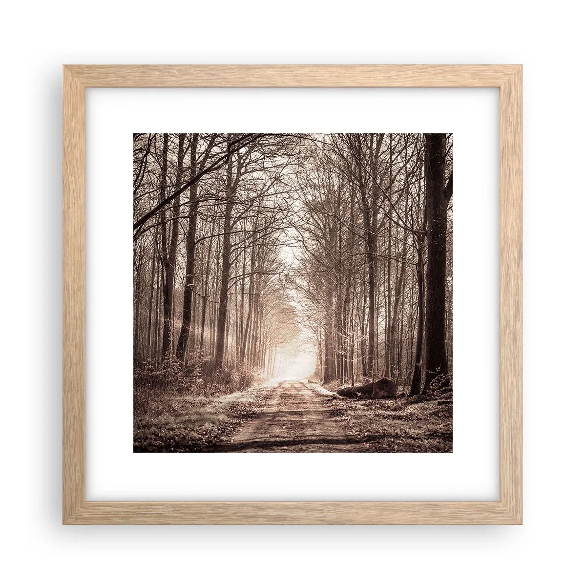 Poster in einem Rahmen aus heller Eiche - Waldkathedrale - 30x30 cm