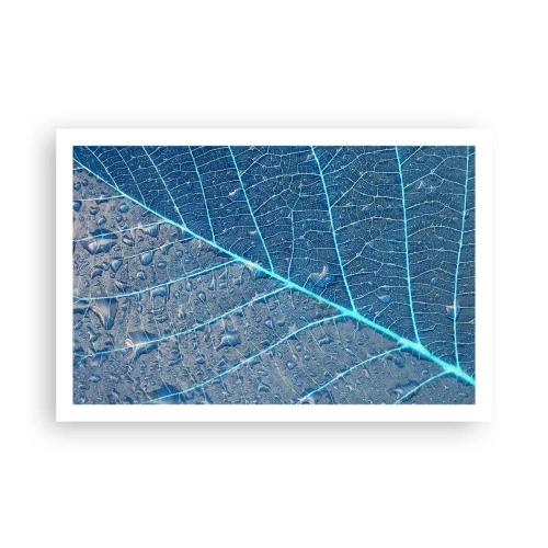 Poster - Leben in Blau - 91x61 cm