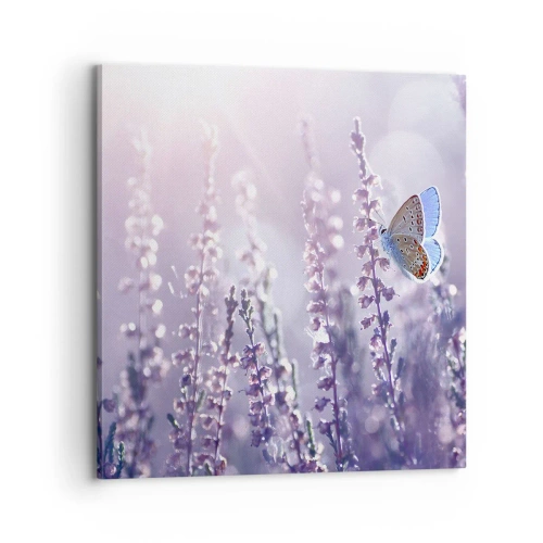 Bild auf Leinwand - Leinwandbild - Schmetterlingskuss - 70x70 cm