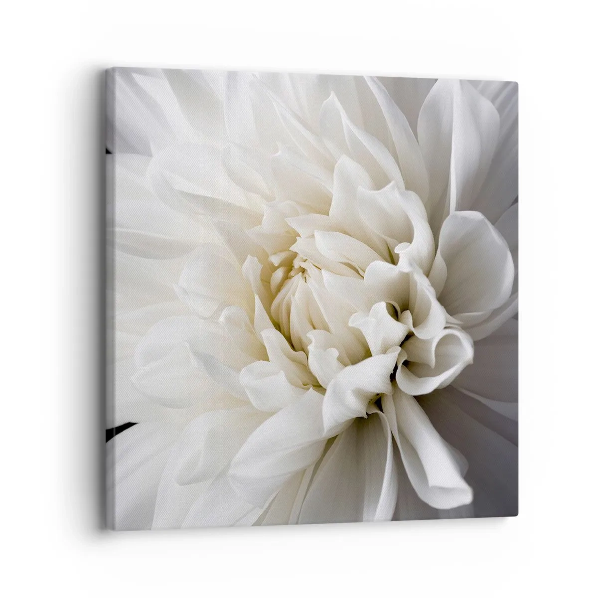 Bild auf Leinwand - Leinwandbild - Der Morgen der Braut - 30x30 cm