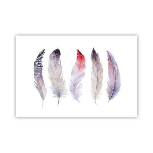 Poster - Zart wie mehrfarbiger Nebel - 91x61 cm