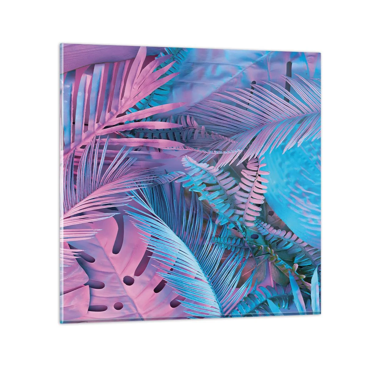 Glasbild - Bild auf glas - Tropen in Rosa und Blau - 50x50 cm