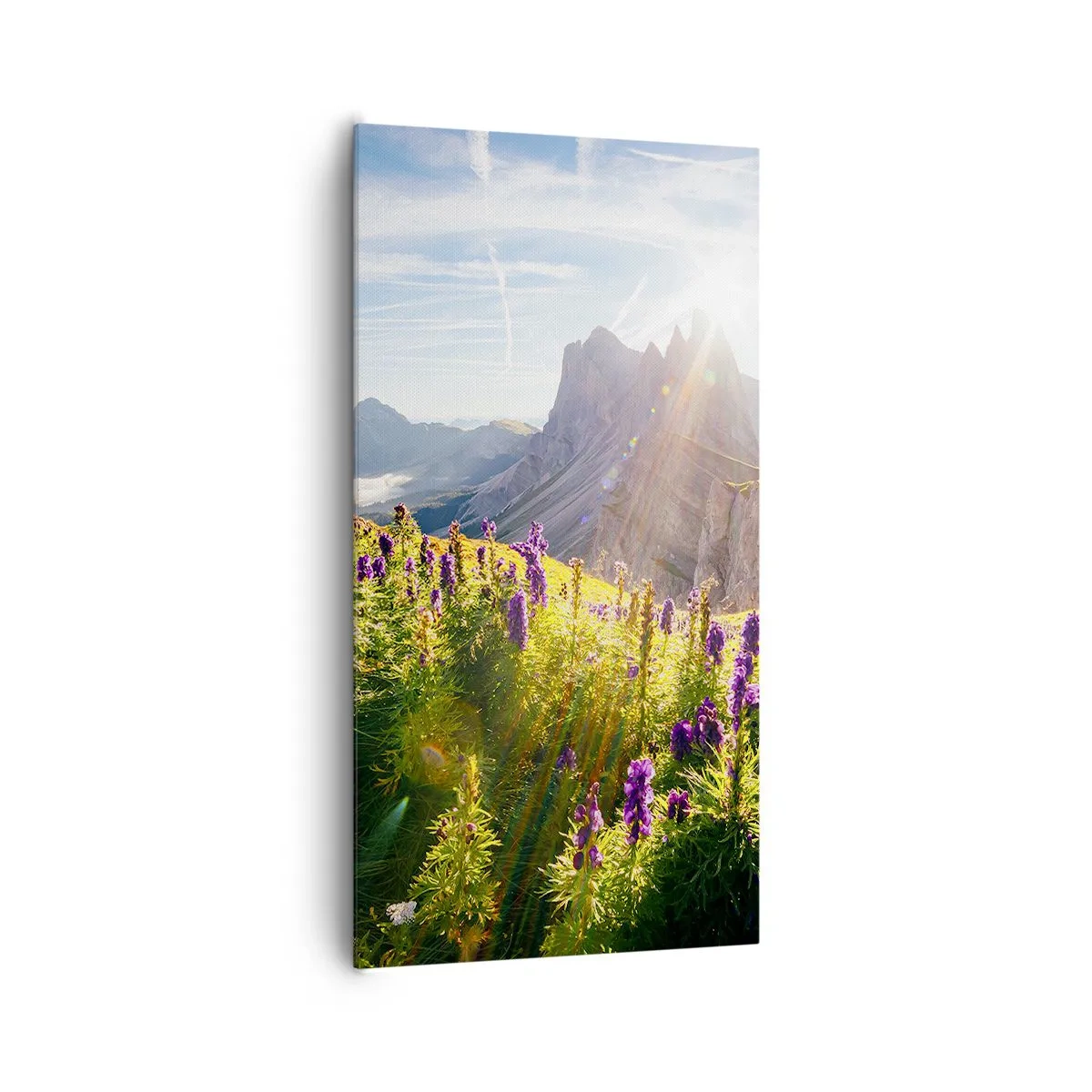 Bild auf Leinwand - Leinwandbild - Das geheime Leben der Kräuter - 65x120 cm