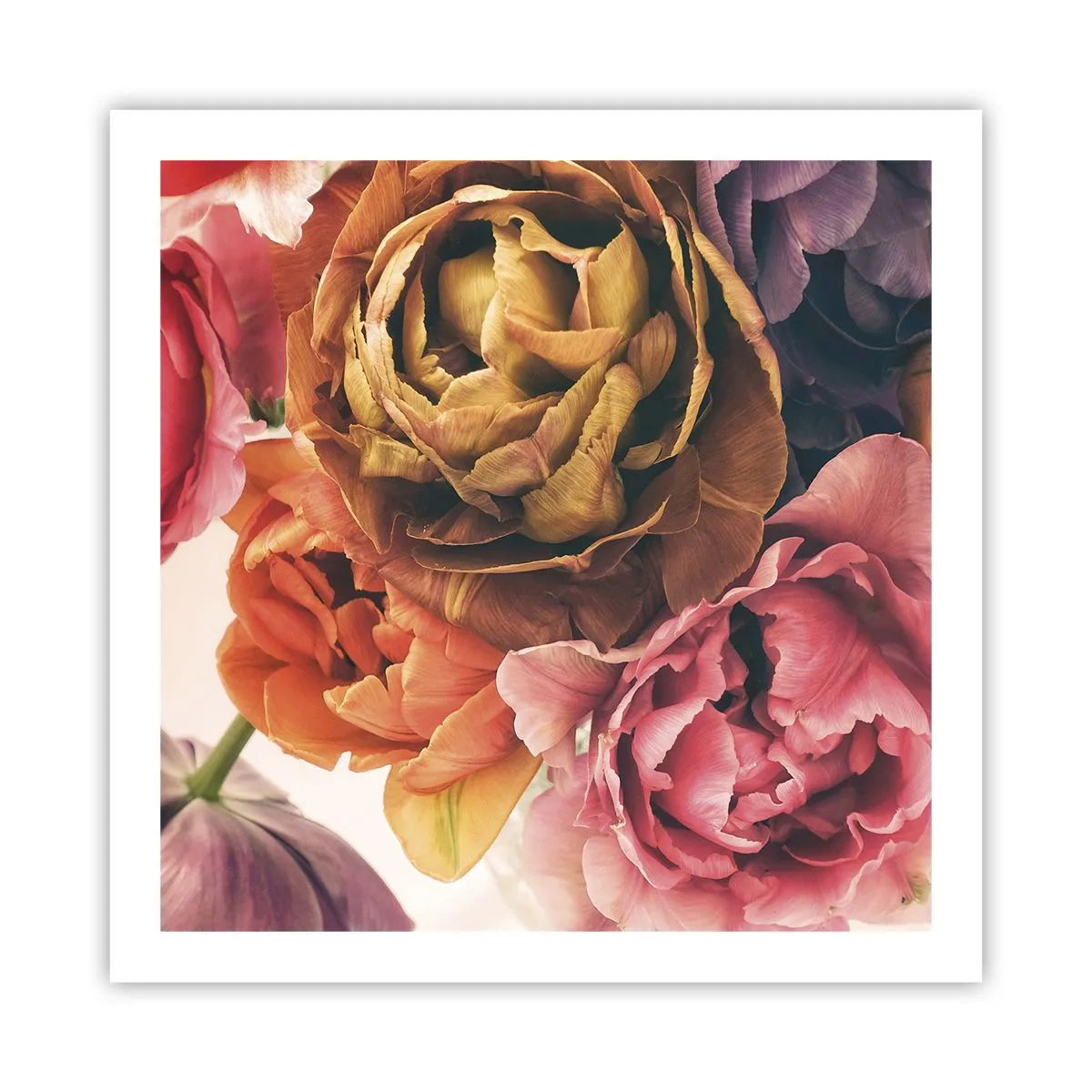 Poster - Eine Feier des Lebens - 60x60 cm