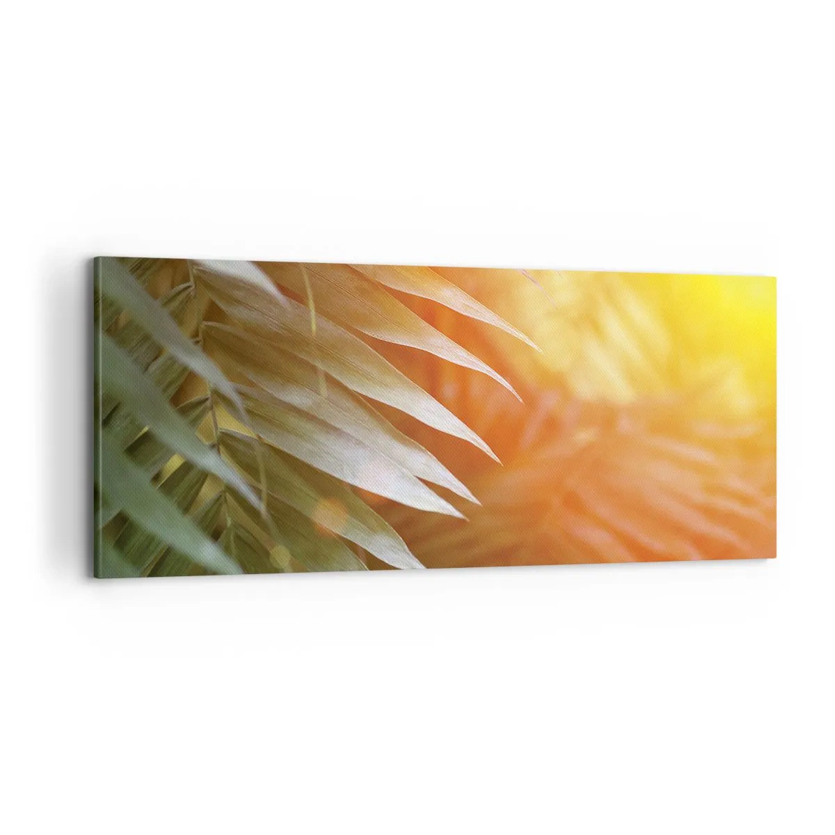 Bild auf Leinwand - Leinwandbild - Morgen im Dschungel - 100x40 cm
