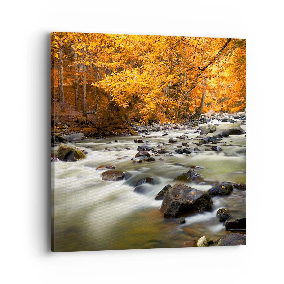 Bild auf Leinwand - Leinwandbild - Ein Bach in einem goldenen Wald - 40x40 cm