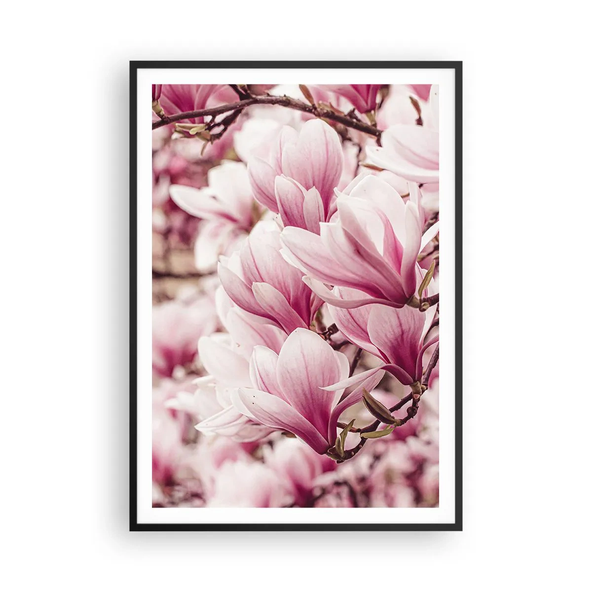 Poster in einem schwarzem Rahmen - Frühling ist rosa - 70x100 cm