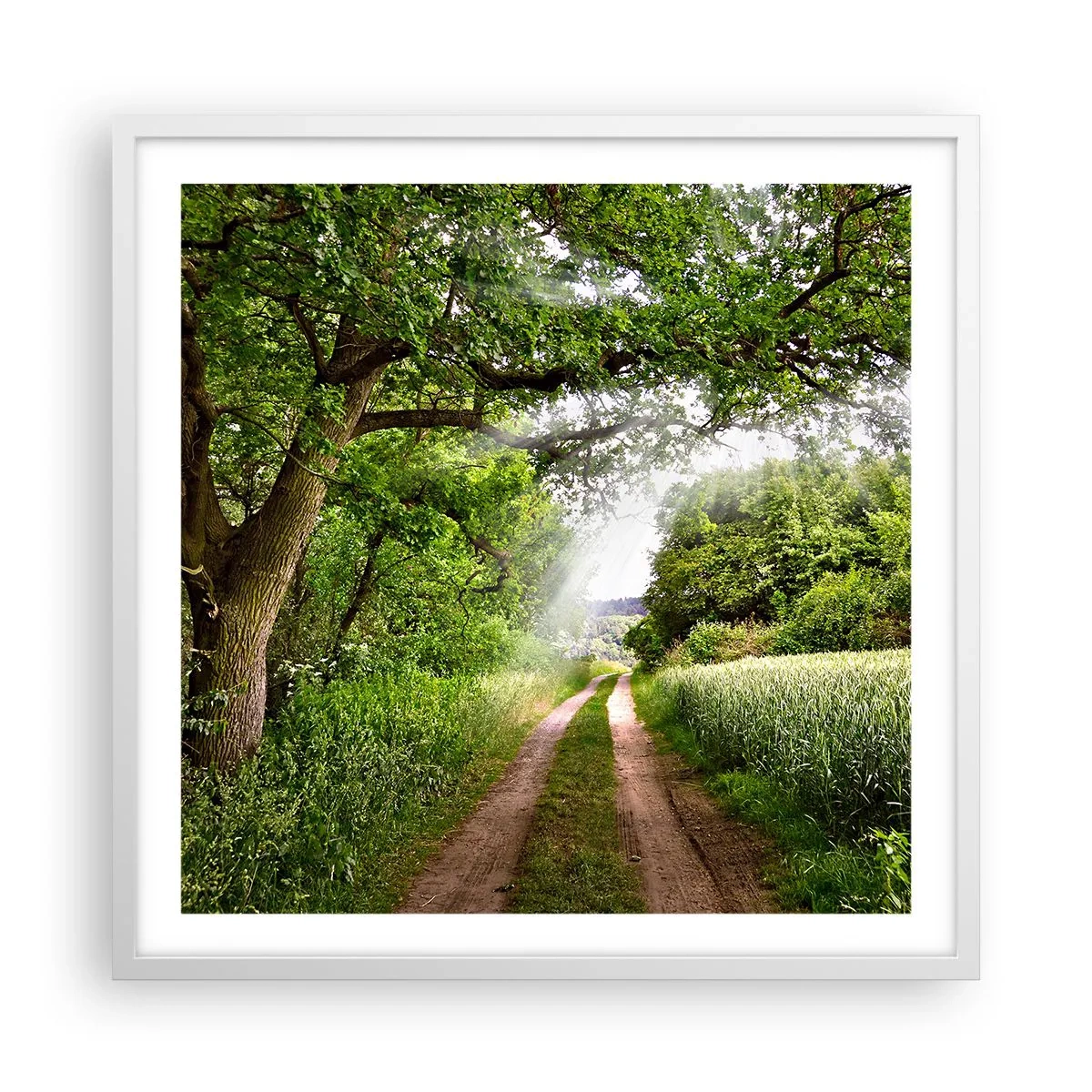 Poster in einem weißen Rahmen - Et in Arcadia ego - 60x60 cm