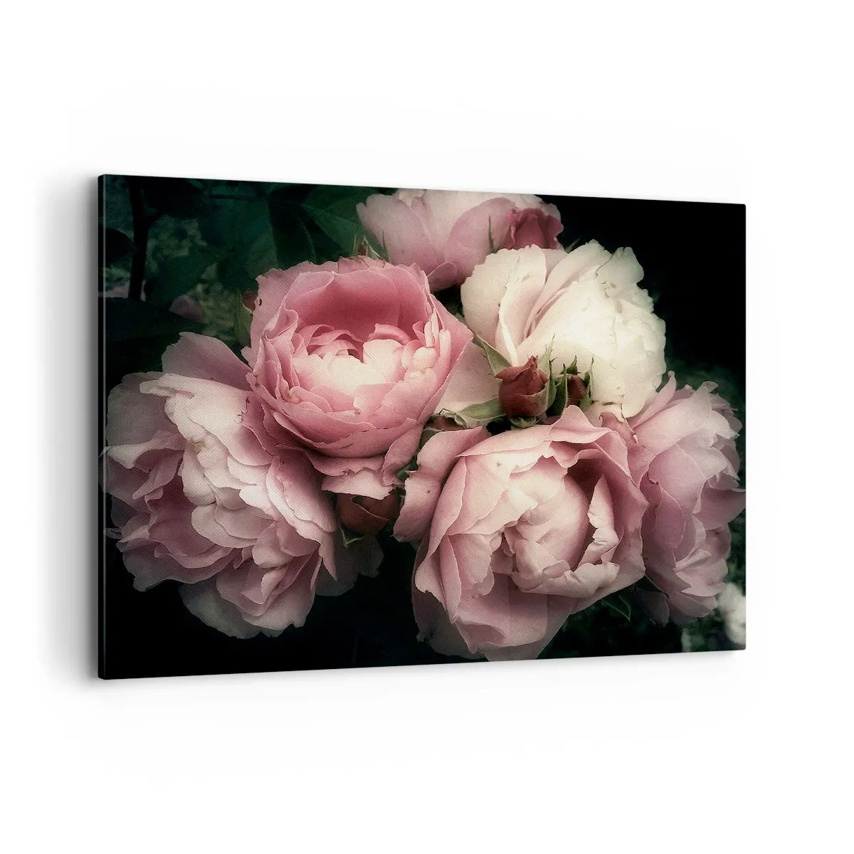 Bild auf Leinwand - Leinwandbild - Ein Strauß Rosen in zarten Rosa- und Weißtönen - 120x80cm - Der Charme der Belle Epoque - Moderne Wanddekoration für Wohnzimmer und Schlafzimmer ARTTOR