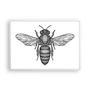 Poster in einem weißen Rahmen - Insektenporträt - 100x70 cm