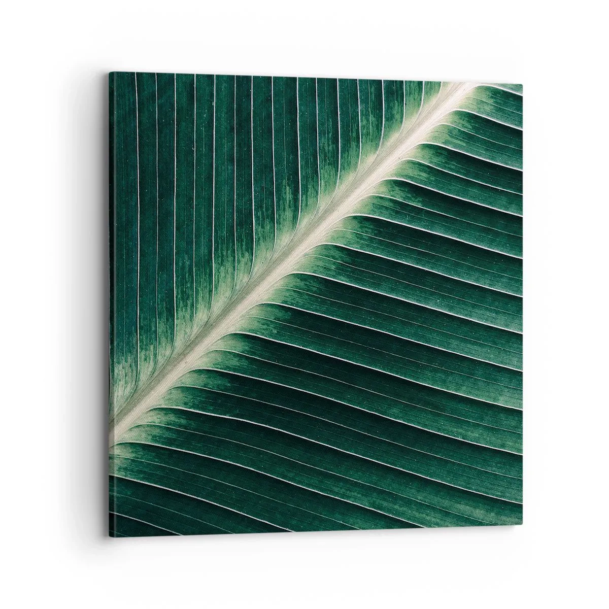 Bild auf Leinwand - Leinwandbild - Rhythmus der Natur - 70x70 cm