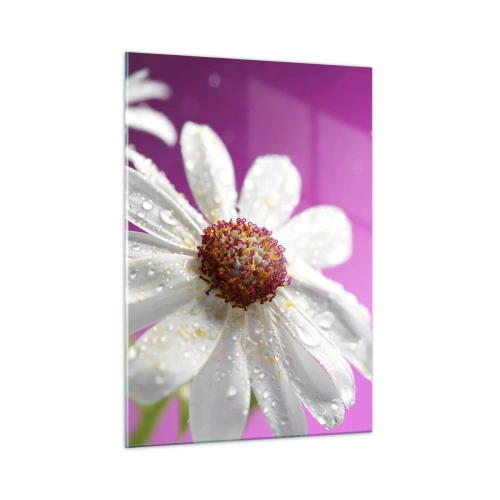 Glasbild - Bild auf glas - Makrofotografie einer weißen Blume mit Tautropfen vor einem rosa Hintergrund - 50x70cm - Bescheiden in seiner Schönheit - Moderne Wanddekoration für Wohnzimmer und Schlafzimmer ARTTOR