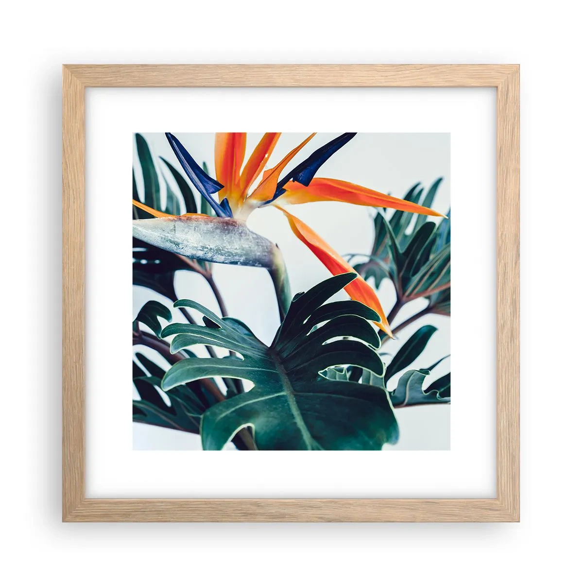 Poster in einem Rahmen aus heller Eiche - Vogelbusch - 30x30 cm