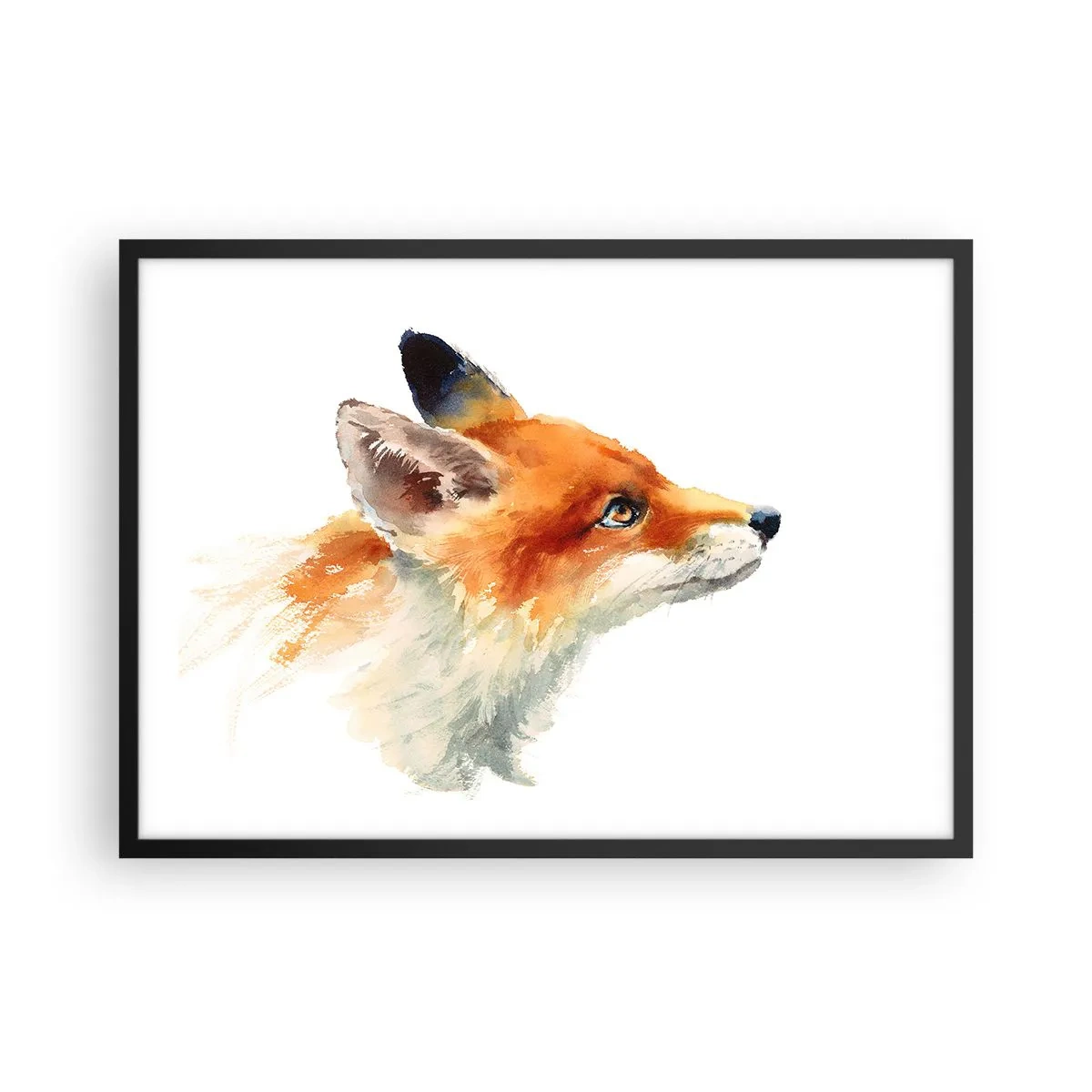 Poster in einem schwarzem Rahmen - Rotfuchs im Aquarellstil auf weißem Hintergrund - 70x50cm - Man kann nie vorsichtig genug sein - Moderne Wanddekoration für Wohnzimmer und Schlafzimmer ARTTOR