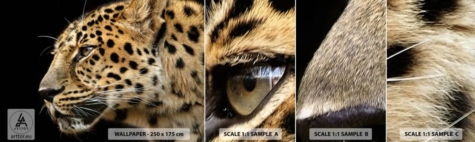 Fototapeten Muster Selbstklebend Deluxe Sticker - Ruhig, fokussiert, bereit - Tiere, Leopard, Afrika - 100x30 cm