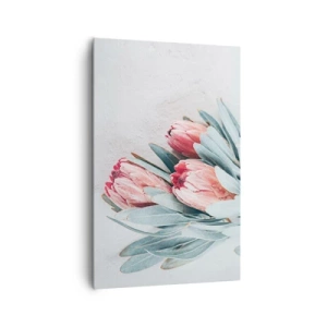 Bild auf Leinwand - Leinwandbild - Dezente rosa Protea-Blüten auf hellem Hintergrund - 80x120cm - Schämen sich für ihre eigene Schönheit - Moderne Wanddekoration für Wohnzimmer und Schlafzimmer ARTTOR