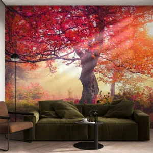 Fototapete Premium Canvas - Blühende Raserei - Landschaft, Park, Blumen - 350x256 cm