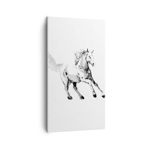 Bild auf Leinwand - Leinwandbild - Ungezähmte Seele - 45x80 cm