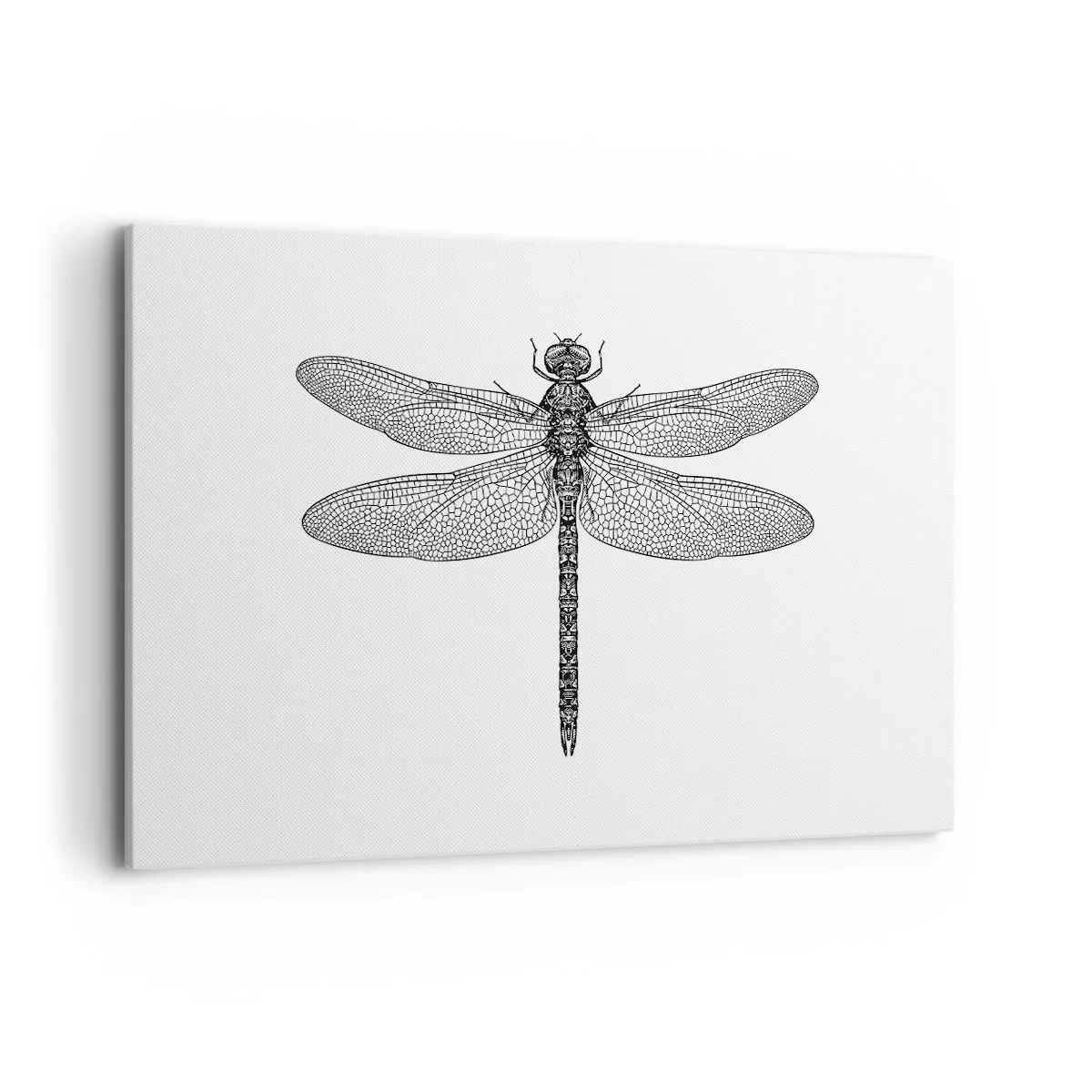 Bild auf Leinwand - Leinwandbild - Schwarz-weiße Zeichnung einer Libelle auf weißem Hintergrund im minimalistischen Stil - 120x80cm - Präzision der Natur - Moderne Wanddekoration für Wohnzimmer und Schlafzimmer ARTTOR
