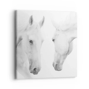 Bild auf Leinwand - Leinwandbild - Ist das Freundschaft...? - 30x30 cm