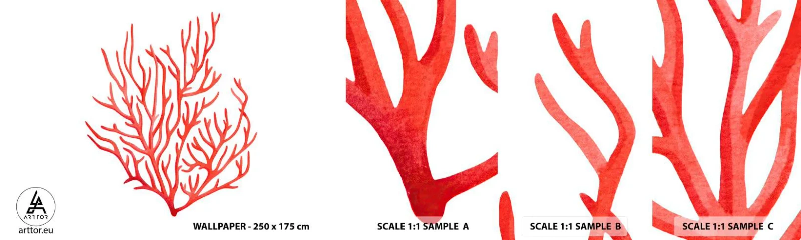 Fototapetenmuster Standard Eco - Korallenfiligran - Korallenriff, Strand, Minimalistisch - 100x30 cm