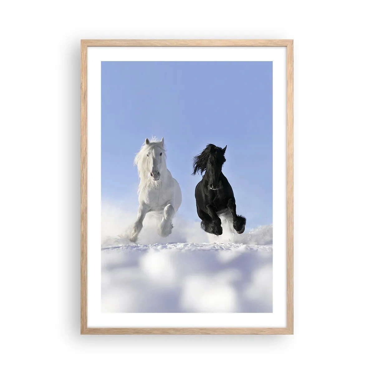 Poster in einem Rahmen aus heller Eiche - Schwarz-Weiß-Galopp - 50x70 cm