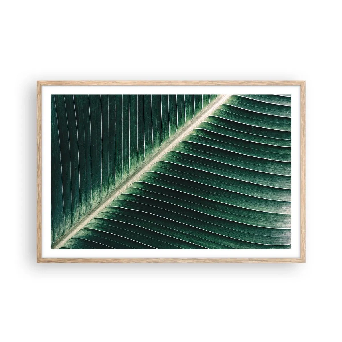 Poster in einem Rahmen aus heller Eiche - Rhythmus der Natur - 91x61 cm