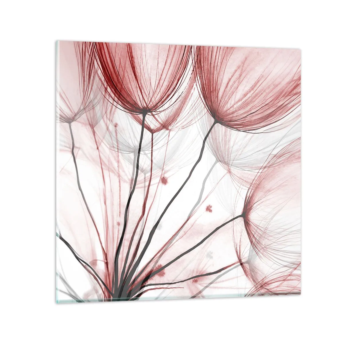 Glasbild - Bild auf glas - Vor der Abfahrt - 40x40 cm