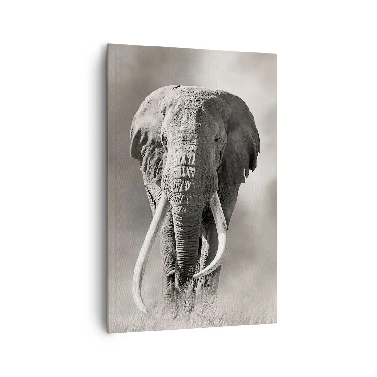 Bild auf Leinwand - Leinwandbild - Afrikanischer Patriarch - 80x120 cm