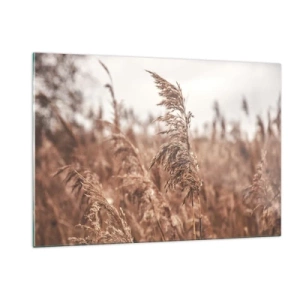 Glasbild - Bild auf glas - Getrocknete Gräser im Wind im herbstlichen Licht der Natur - 120x80cm - Auf den Feldern ist es schon Herbst - Moderne Wanddekoration für Wohnzimmer und Schlafzimmer ARTTOR