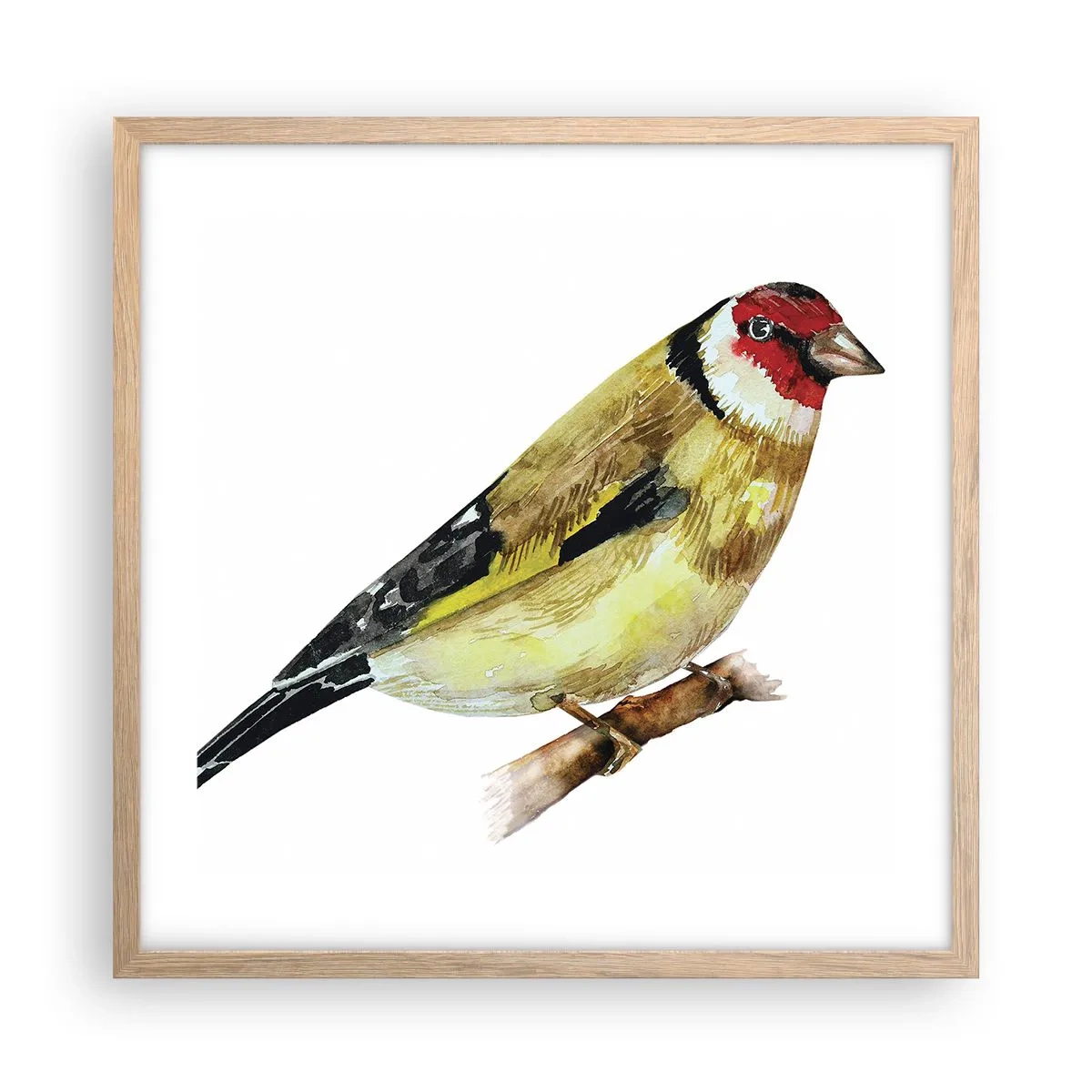 Poster in einem Rahmen aus heller Eiche - Vogelporträt - 50x50 cm