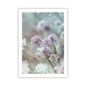 Poster - Zarte Blüten in Pastellfarben - 50x70cm - Süße filigrane Kräuter - Moderne Wanddekoration für Wohnzimmer und Schlafzimmer ARTTOR