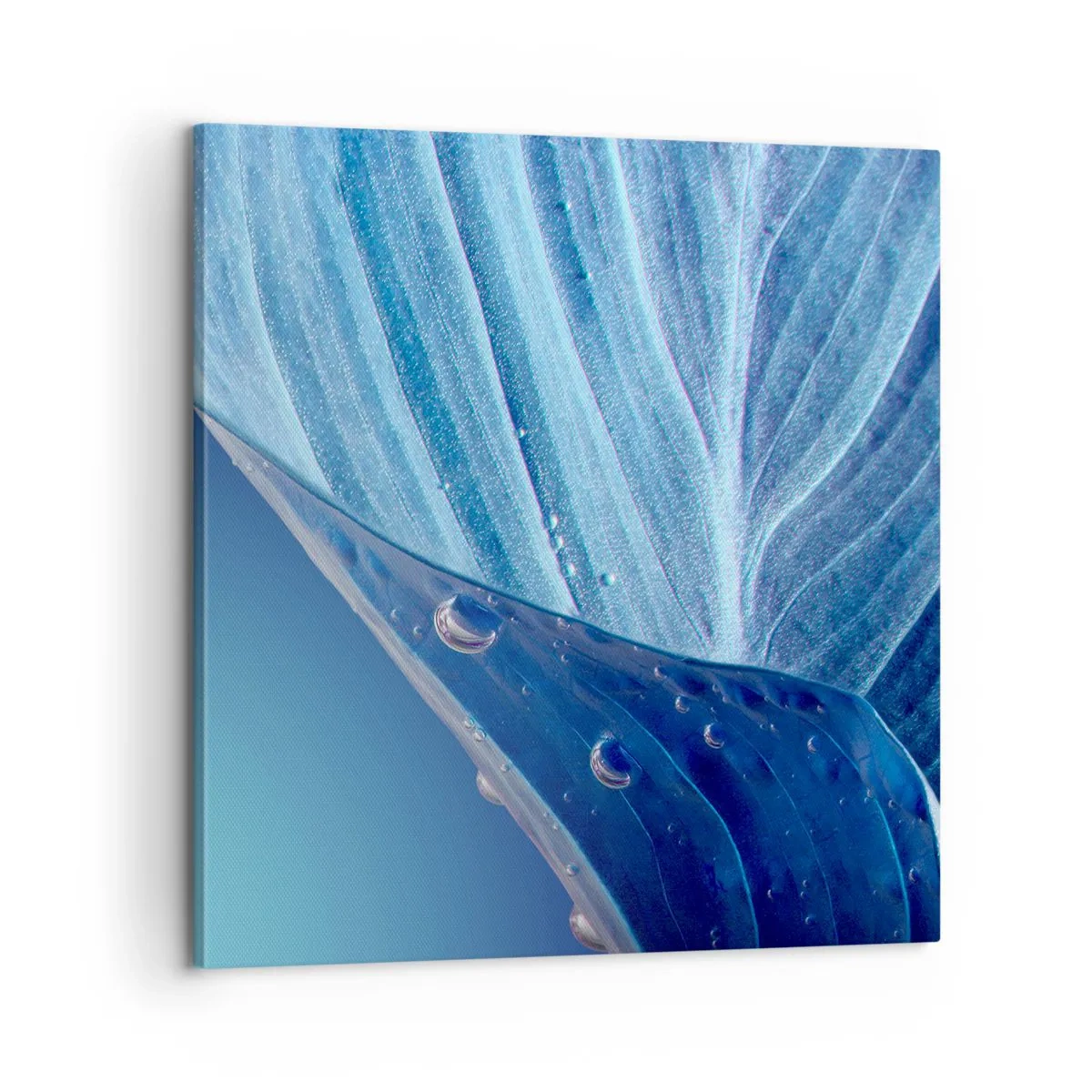 Bild auf Leinwand - Leinwandbild - Versteckte Tropfen vom Blau - 60x60 cm