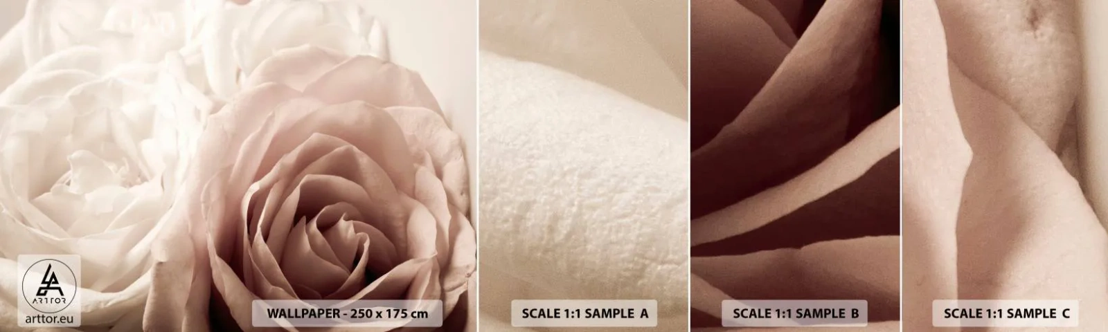 Fototapetenmuster Standard Eco - Im Herzen der Rose - Rosen, Blumen, Romantisch - 100x30 cm