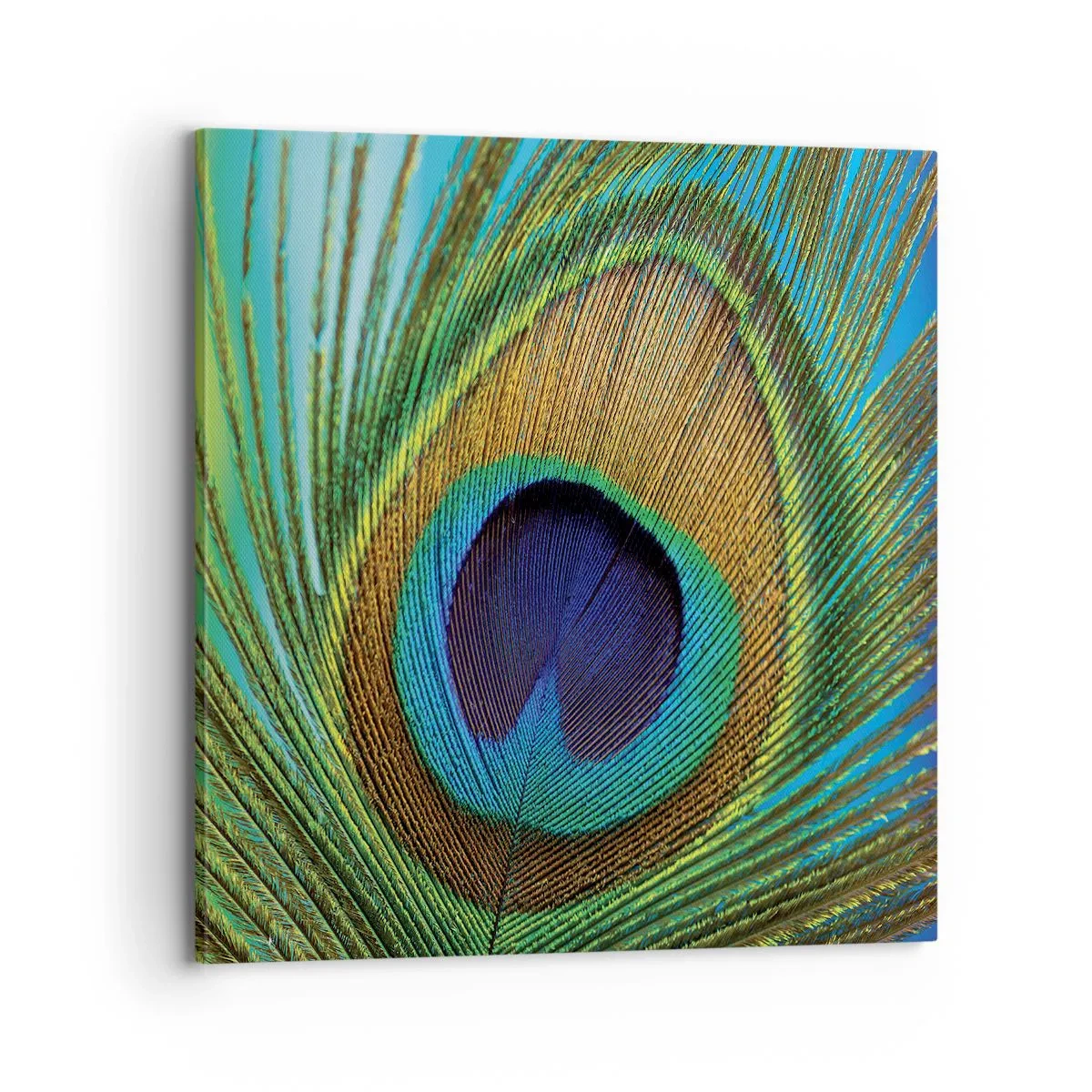 Bild auf Leinwand - Leinwandbild - Auge in Auge - 70x70 cm