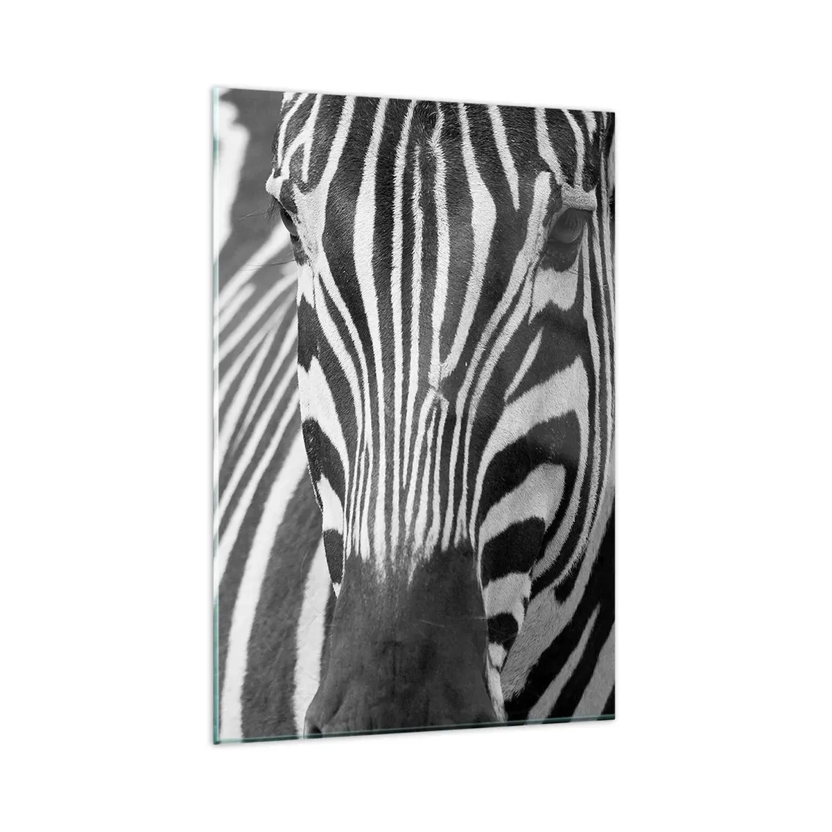 Glasbild - Bild auf glas - Eine Schwarz-Weiß-Nahaufnahme eines Zebras mit seinen charakteristischen Streifen. - 80x120cm - Die Welt ist schwarz und weiß - Moderne Wanddekoration für Wohnzimmer und Schlafzimmer ARTTOR