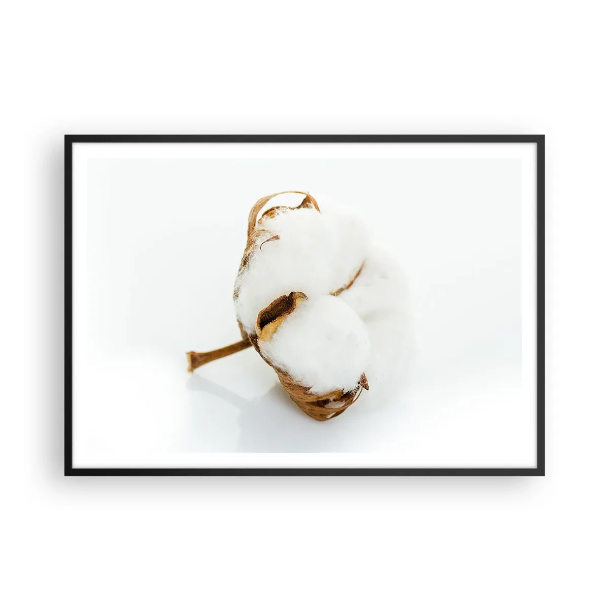 Poster in einem schwarzem Rahmen - Ein Baumwollzweig auf hellem Hintergrund in minimalistischem Ansatz - 100x70cm - Von Natur aus weich - Moderne Wanddekoration für Wohnzimmer und Schlafzimmer ARTTOR