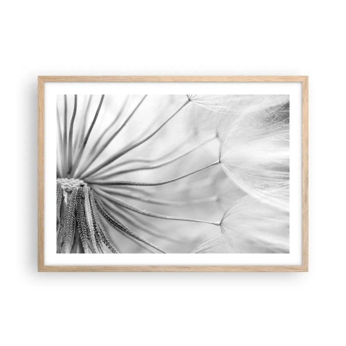 Poster in einem Rahmen aus heller Eiche - Löwenzahn, Drachen - 70x50 cm